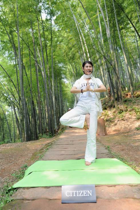 寻找职业学院商科文凭证书